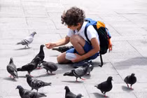 Cho chim ăn có mang tội hủy của hay không?