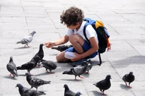 Cho chim ăn có mang tội hủy của hay không?