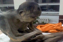 Bí ẩn xác ướp nhà sư 200 năm trong tư thế thiền 