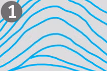 Giải mã bí ẩn dấu vân tay và tính cách con người