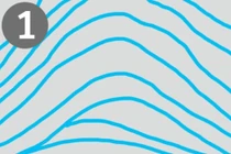 Giải mã bí ẩn dấu vân tay và tính cách con người