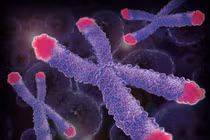 5 giải mã đáng kinh ngạc về cái chết 