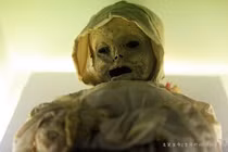 Thám hiểm bảo tàng xác chết kinh dị nhất hành tinh 