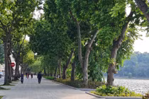 PGS.TS Trần Ngọc Hải: “Thận trọng khi dịch chuyển cây xanh quý cạnh Hồ Gươm” 