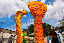 Tận mục cặp linh vật rắn khổng lồ 500 triệu đồng tại TPHCM