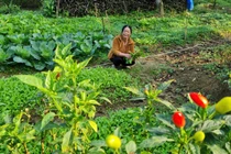 Trang thơ: Tết về nhà là Tết có mẹ cha