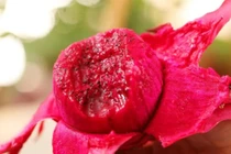 3 loại trái cây không nên mang ra mộ trong ngày Tết Thanh minh