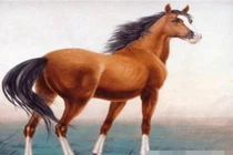 4 con giáp nữ giàu phúc khí, giúp chồng thành đạt, con giỏi giang 