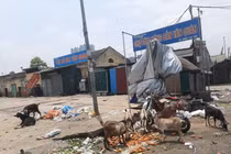 Hà Nội: Cảnh nhếch nhác tại nhiều tuyến phố ở quận Hà Đông