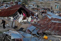 Ly kỳ chuyện động vật có thể dự báo được động đất