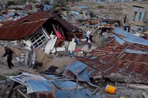 Ly kỳ chuyện động vật có thể dự báo được động đất