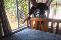 Rắn mò lên giường vì... điều nói đi nói lại này