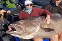 Cụ bà “tóm” được cá “quái vật”, nặng tới 60kg