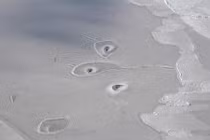 Hiện tượng kỳ lạ ở Bắc Cực khiến NASA bối rối 