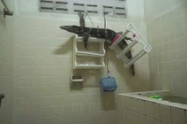 Kỳ đà khổng lồ bỗng dưng chui vào buồng tắm