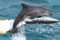 Liệu cá heo sẽ thay thế con người làm chủ Trái đất?
