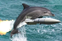 Liệu cá heo sẽ thay thế con người làm chủ Trái đất?