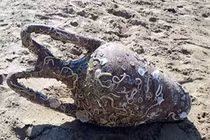 Tưởng "đầu người" dập dờn trên biển, kéo vào phát hiện điều choáng váng...