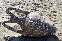 Tưởng "đầu người" dập dờn trên biển, kéo vào phát hiện điều choáng váng...