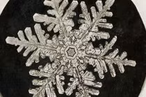 Ảnh bông tuyết đầu tiên được chụp như thế nào?