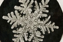 Ảnh bông tuyết đầu tiên được chụp như thế nào?