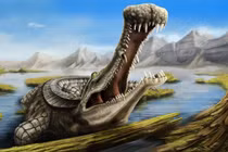 9 bí ẩn về thế giới khiến các nhà khoa học bó tay