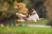 Thế giới kỳ lạ khiến ta từ ngạc nhiên này tới ngạc nhiên khác