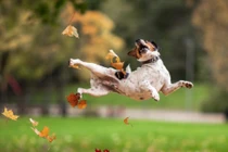 Thế giới kỳ lạ khiến ta từ ngạc nhiên này tới ngạc nhiên khác