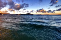 Sinh vật kỳ lạ dưới đáy Thái Bình Dương có thể cứu thế giới?