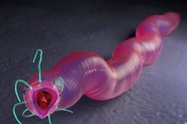 Giun đông lạnh 42.000 năm có thể hồi sinh và di chuyển