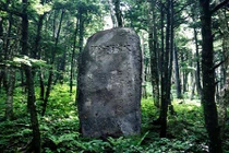 Khám phá đá sóng thần độc đáo ở Nhật