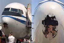 Máy bay bị đâm thủng mũi chỉ bởi... một con chim