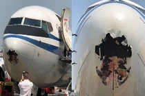 Máy bay bị đâm thủng mũi chỉ bởi... một con chim