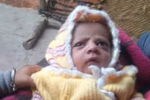 Khỉ xông vào nhà dân, cướp bé 12 ngày tuổi đang bú mẹ