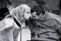 Vì sao loài chó trung thành với con người?