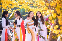 Mùng 2 tết 2018: Xuất hành hướng nào giờ nào mới tốt?