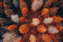 Đẹp mê đắm chùm ảnh chụp thiên nhiên nước Mỹ từ trên cao