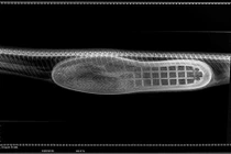 Trăn mắc nghẹn vì... nuốt nguyên chiếc giầy