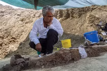 Lời giải cho bí ẩn cây mọc lên từ dạ dày người chết