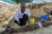 Lời giải cho bí ẩn cây mọc lên từ dạ dày người chết