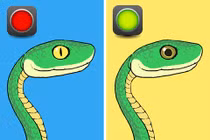 Bí kíp nhận diện rắn có độc hay không tức thì