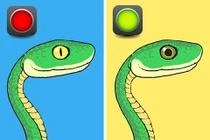 Bí kíp nhận diện rắn có độc hay không tức thì