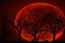 Xem NASA trực tiếp nguyệt thực toàn phần hấp dẫn theo cách này