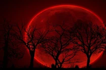 Xem NASA trực tiếp nguyệt thực toàn phần hấp dẫn theo cách này