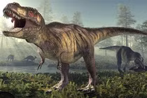 Hàng trăm dấu chân khủng long "khủng" tiết lộ điều thú vị