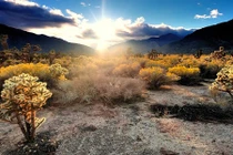 10 sa mạc đẹp quyến rũ kỳ lạ