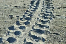 Top bí ẩn kỳ dị nhất thách thức cả thiên tài