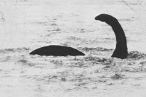 Thực hư thông tin quái vật hồ Loch Ness vẫn còn sống