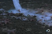 Giải bí ẩn “ngón tay tử thần” đóng băng mọi thứ trong tích tắc