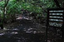 Khám phá vùng đất nhắc đến hết thảy người Nhật đều run